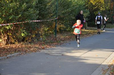 Foto des Albums: Schönower Herbstcross
