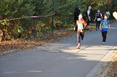 Foto des Albums: Schönower Herbstcross