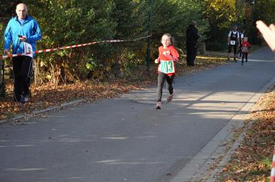 Foto des Albums: Schönower Herbstcross