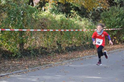Foto des Albums: Schönower Herbstcross