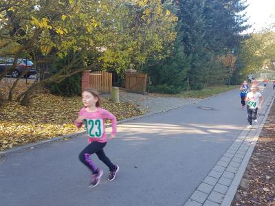 Foto des Albums: Schönower Herbstcross