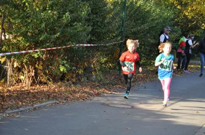 Foto des Albums: Schönower Herbstcross