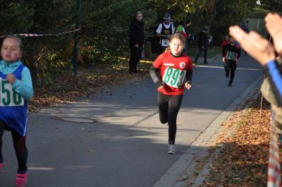 Foto des Albums: Schönower Herbstcross