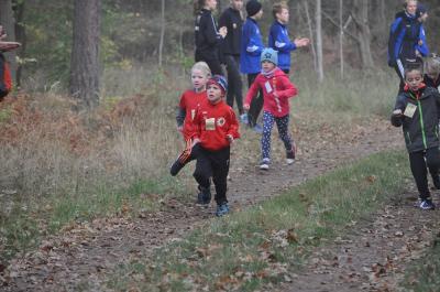 Foto des Albums: Karpiner Herbstcross