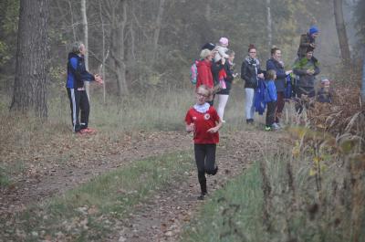 Foto des Albums: Karpiner Herbstcross