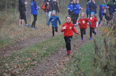 Foto des Albums: Karpiner Herbstcross