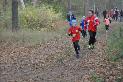 Foto des Albums: Karpiner Herbstcross