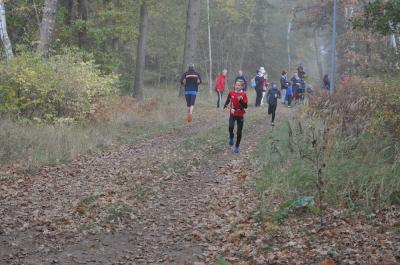 Foto des Albums: Karpiner Herbstcross