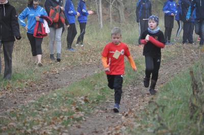 Foto des Albums: Karpiner Herbstcross