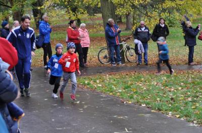 Foto des Albums: Anklamer Herbstcross