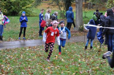 Foto des Albums: Anklamer Herbstcross