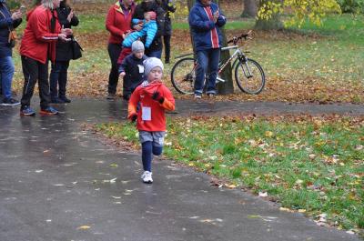 Foto des Albums: Anklamer Herbstcross