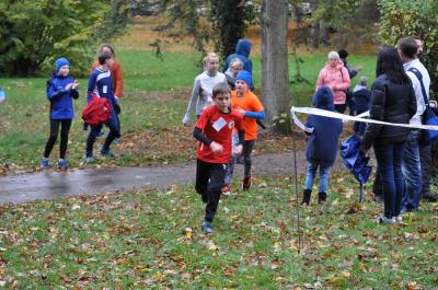 Foto des Albums: Anklamer Herbstcross