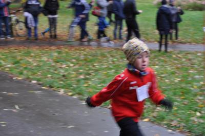 Foto des Albums: Anklamer Herbstcross