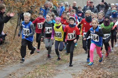 Foto des Albums: KM Cross Schönow