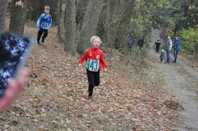 Foto des Albums: KM Cross Schönow (15.​11.​2018)