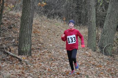 Foto des Albums: KM Cross Schönow