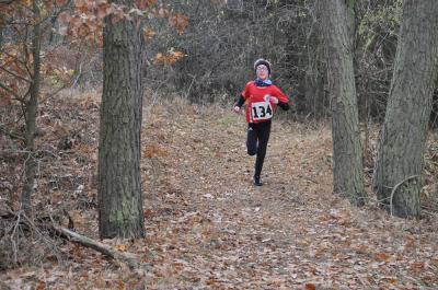 Foto des Albums: KM Cross Schönow