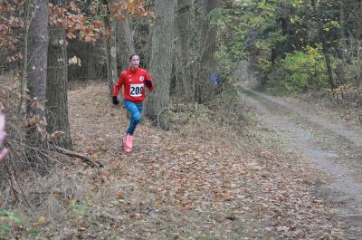 Foto des Albums: KM Cross Schönow (15.​11.​2018)
