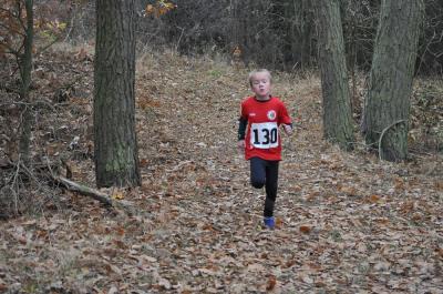 Foto des Albums: KM Cross Schönow