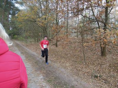 Foto des Albums: KM Cross Schönow (15.​11.​2018)