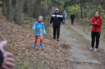 Foto des Albums: KM Cross Schönow (15.​11.​2018)