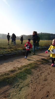 Foto des Albums: Jatznicker Waldlauf