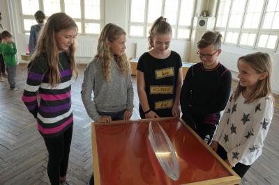 Foto des Albums: Mathematik zum Anfassen und Erleben