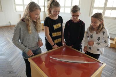 Foto des Albums: Mathematik zum Anfassen und Erleben