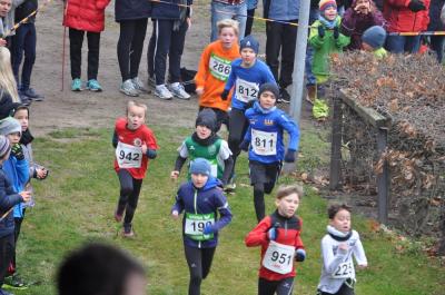 Foto des Albums: LM Cross Berlin