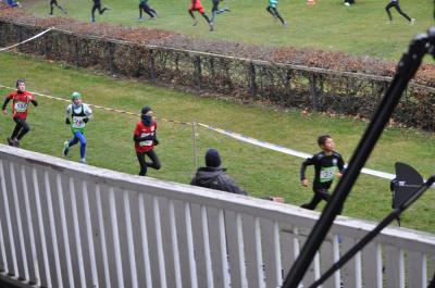 Foto des Albums: LM Cross Berlin