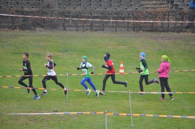 Foto des Albums: LM Cross Berlin