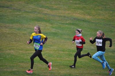 Foto des Albums: LM Cross Berlin