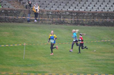 Foto des Albums: LM Cross Berlin