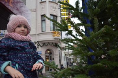 Foto des Albums: Tannenbaum schmücken
