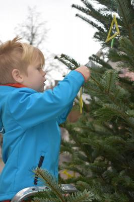 Foto des Albums: Tannenbaum schmücken