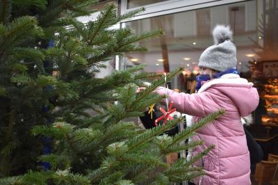 Foto des Albums: Tannenbaum schmücken