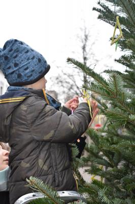 Foto des Albums: Tannenbaum schmücken