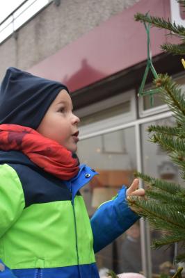 Foto des Albums: Tannenbaum schmücken