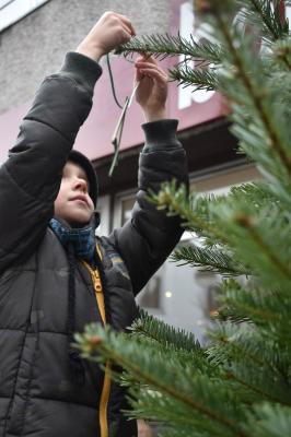 Foto des Albums: Tannenbaum schmücken