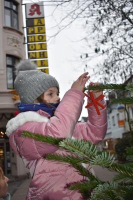 Foto des Albums: Tannenbaum schmücken