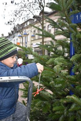 Foto des Albums: Tannenbaum schmücken