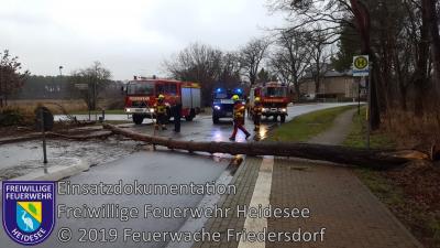 Vorschaubild: Einsatz 3/2019 | Baum auf Straße | L 39 OV Friedersdorf - AS Friedersdorf