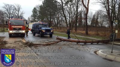 Vorschaubild: Einsatz 3/2019 | Baum auf Straße | L 39 OV Friedersdorf - AS Friedersdorf