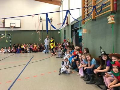 Foto des Albums: Fasching 2019