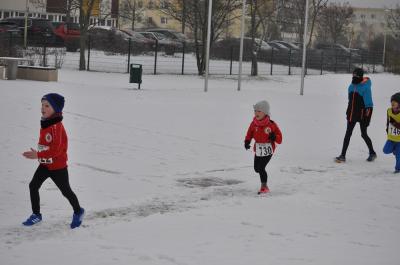 Foto des Albums: UDG Cup Schwedt