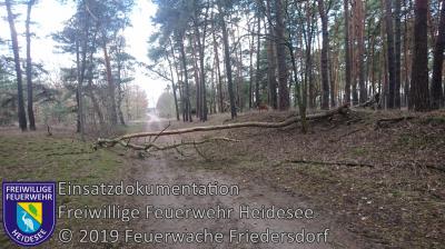 Vorschaubild: Einsatz 11/2019 | Baum auf Straße | Friedersdorf Lindenstraße