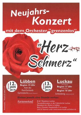 Foto des Albums: Neujahrskonzerte 2019