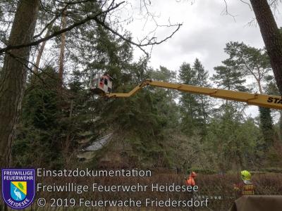 Vorschaubild: Einsatz 14/2019 | Fichte drocht auf Haus zu stürzen | Dolgenbrodt verl. Mariannenstraße