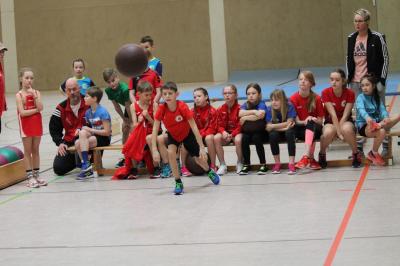 Foto des Albums: Regionale Meisterschaften Torgelow